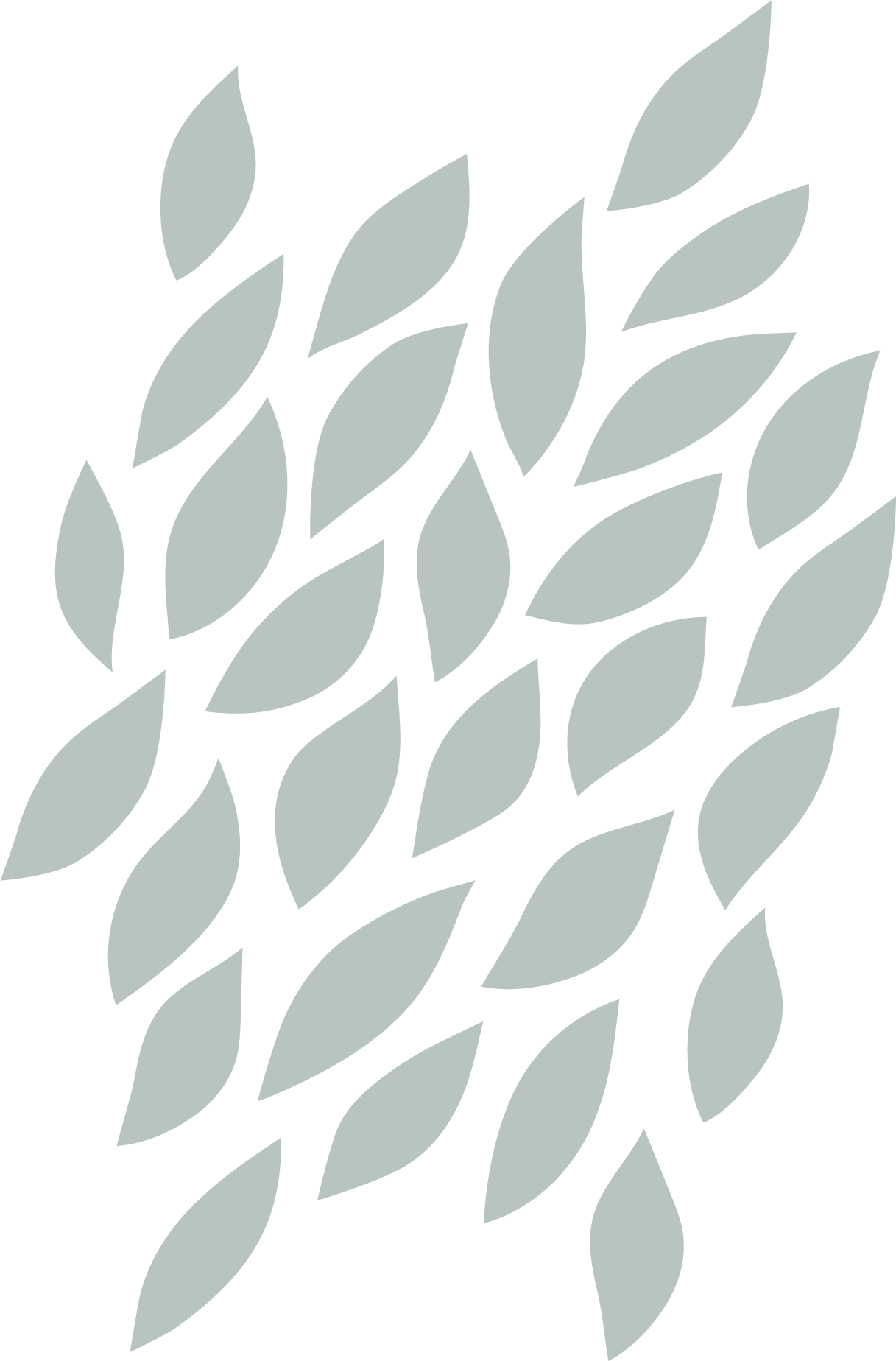 leaf pattern